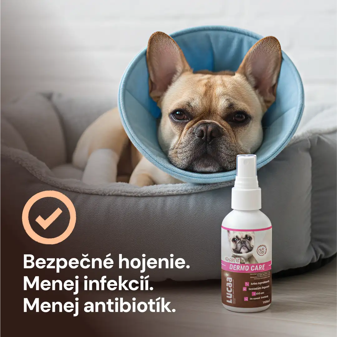 Lucaa+ Starostlivosť o rany